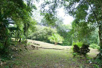 Our villas are minutes away from the beach and immersed in the tropical  jungle